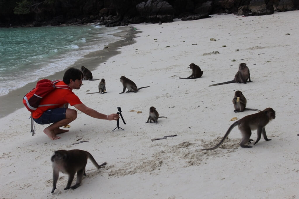 Planeta dos macacos